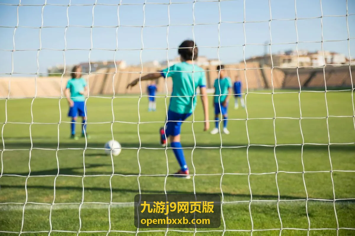 九游j9网页版财务记录与账目查询模块示意