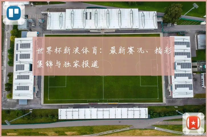 世界杯新浪体育：最新赛况、精彩集锦与独家报道