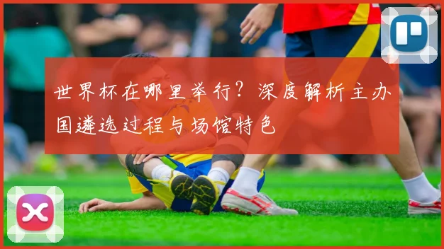 世界杯在哪里举行？深度解析主办国遴选过程与场馆特色