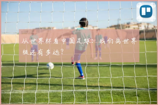 从世界杯看中国足球：我们离世界级还有多远？