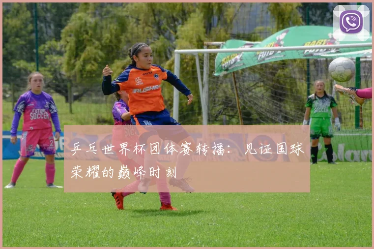 乒乓世界杯团体赛转播:见证国球荣耀的巅峰时刻